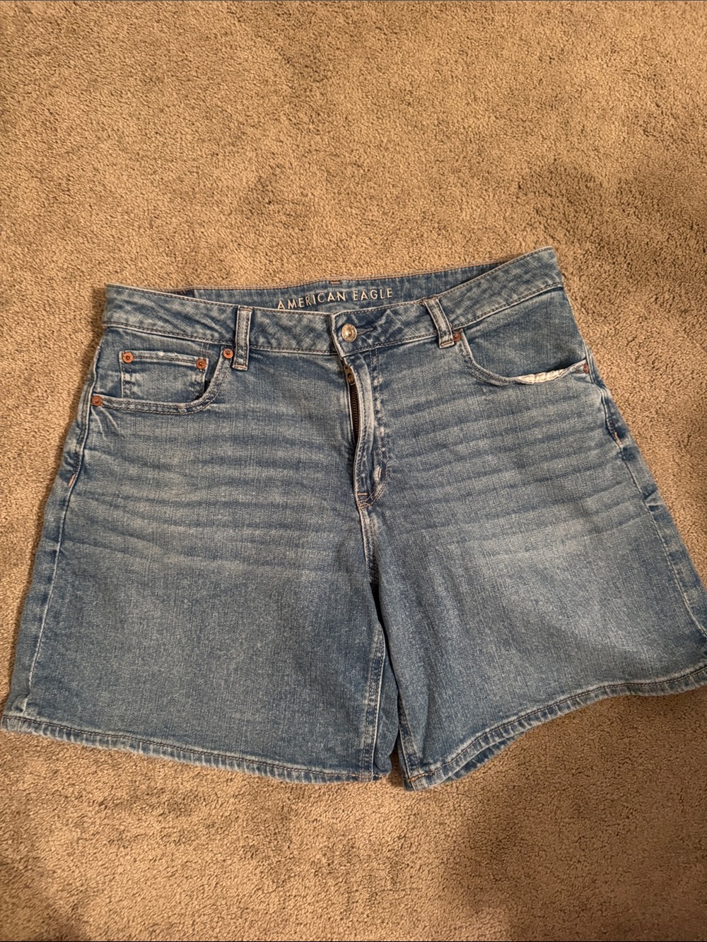 American Eagle Outfitters Low Rise Baggy Shorts